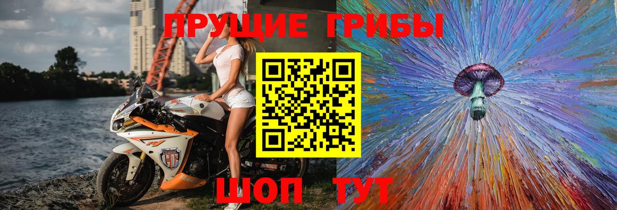 Галлюциногенные грибы мицелий  Галлюциногенные грибы MAGIC MUSHROOMS  Вход с VPN  Новоалександровск 