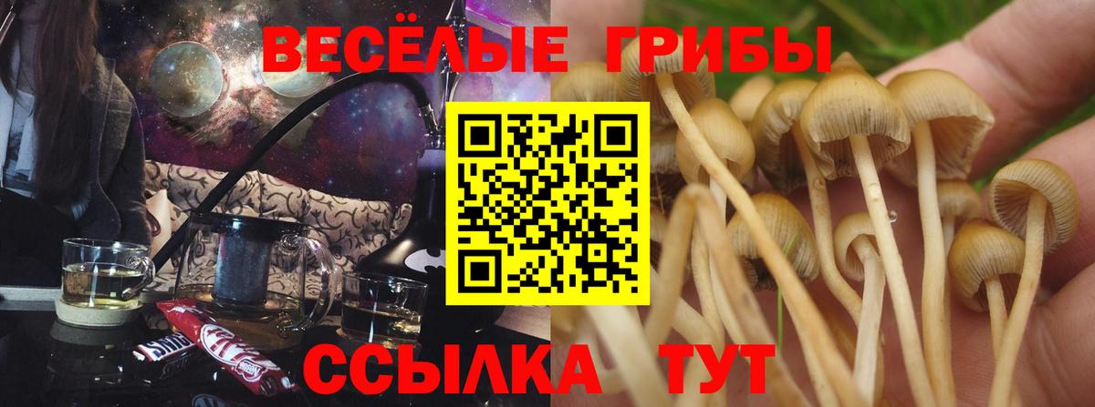 Галлюциногенные грибы мухоморы Новоалександровск