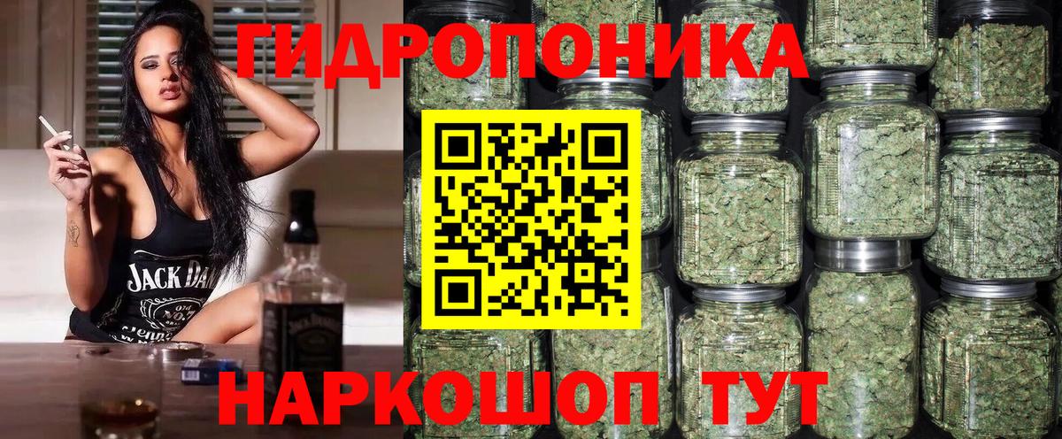 Канабис гибрид Новоалександровск